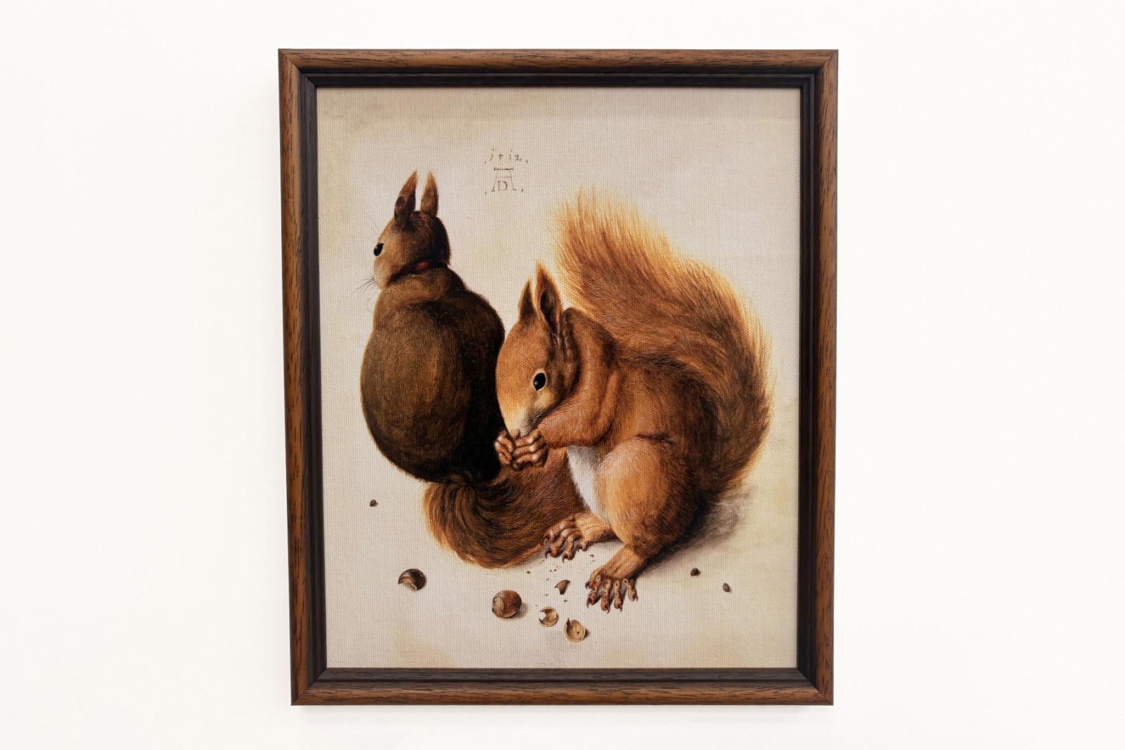 Squirrels, 1512 - Albrecht Dürer