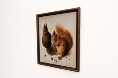 Squirrels, 1512