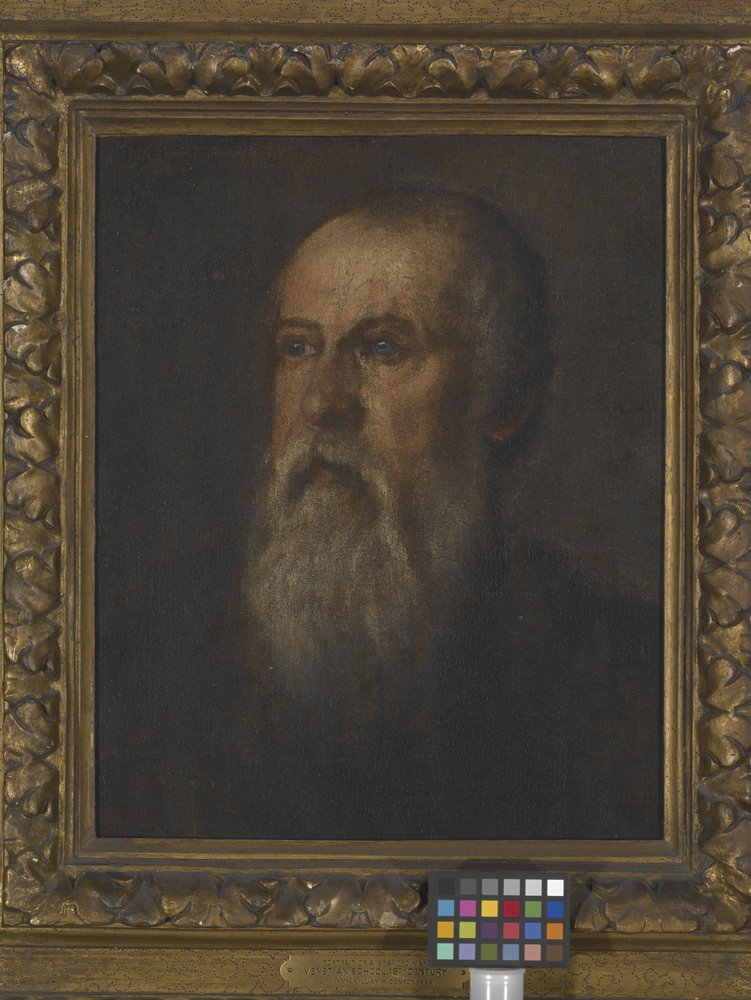 Portrait Of A Bearded Man by (1528 88) Veronese