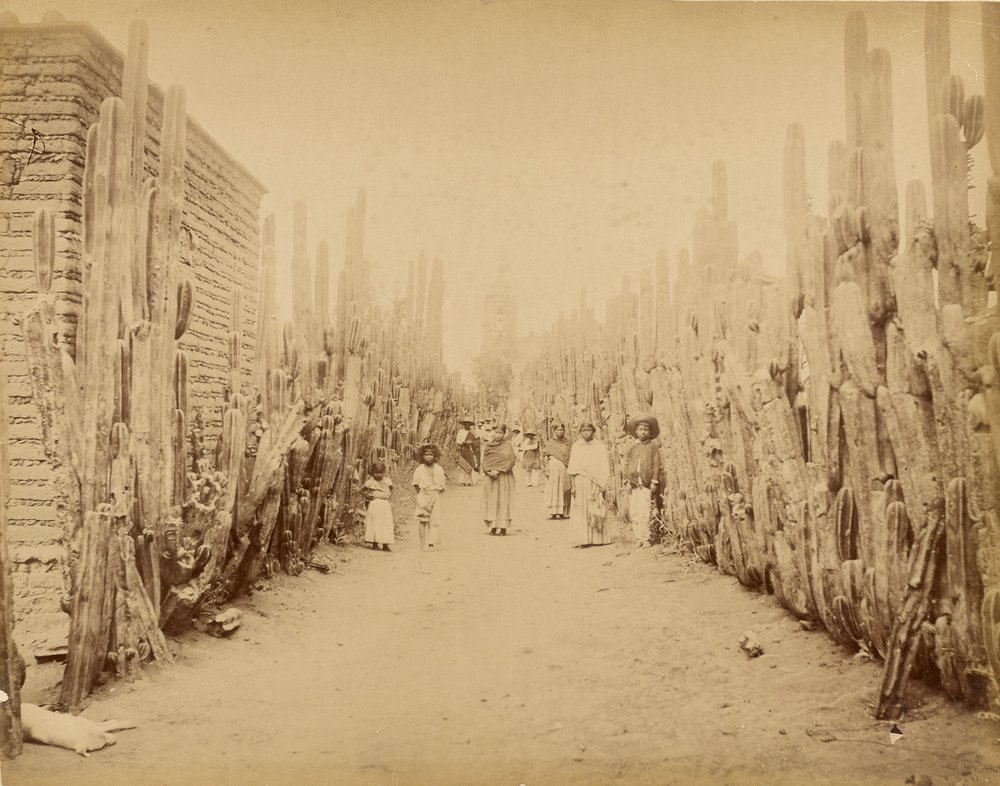 Mexico. Street of Village San Juan, State of Mexico by Abel Briquet