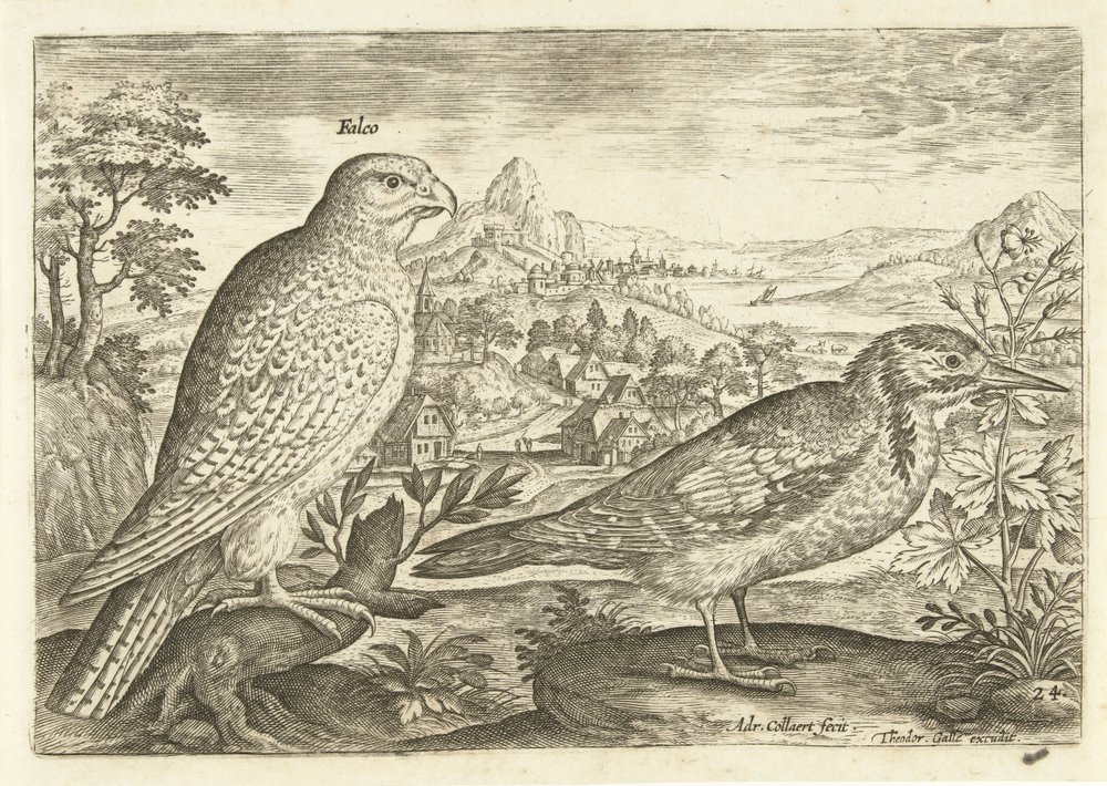 Two Birds in a Landscape by Adriaen Collaert