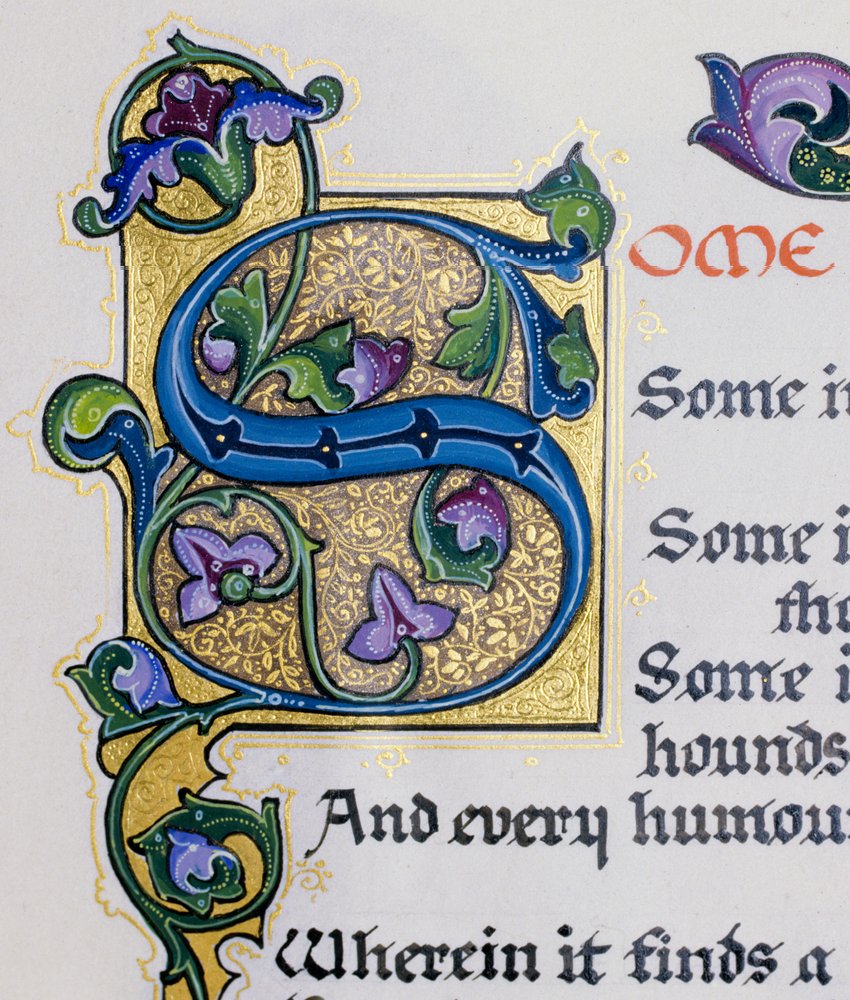 Photograph of calligraphy detail of letter S on an illuminated page ...