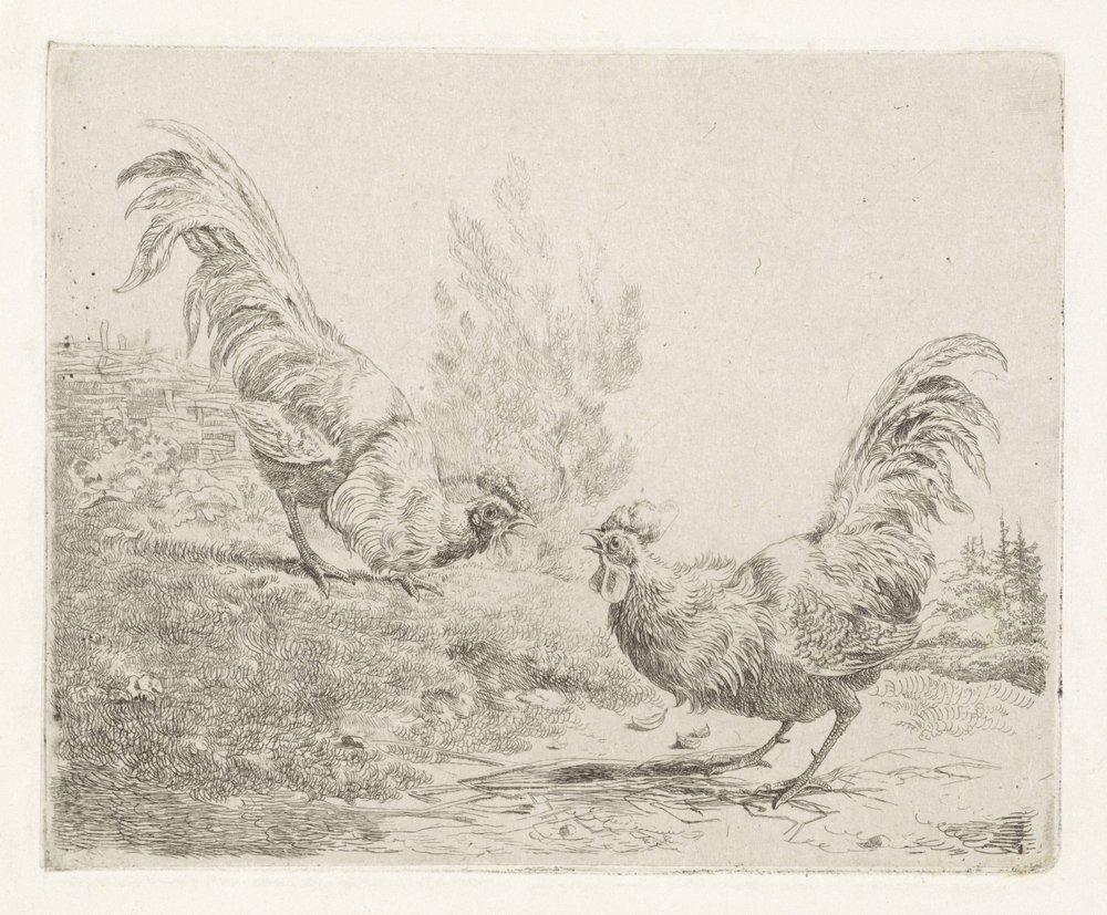 Two Fighting Roosters by Albertus Verhoesen