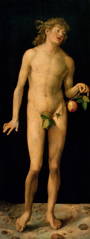Adam, 1507 by Albrecht Dürer