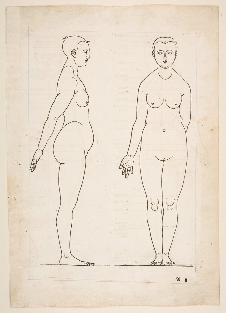 Illustration from Dürer