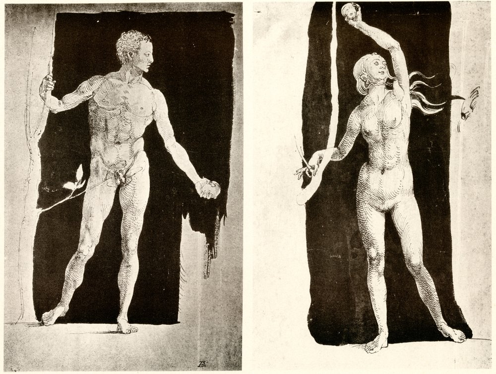 Studies on Adam and Eve by Albrecht Dürer