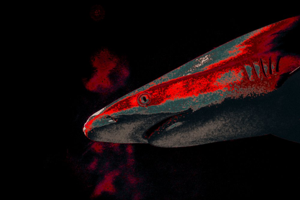 Bait, 2018 by Alice Gur-Arie