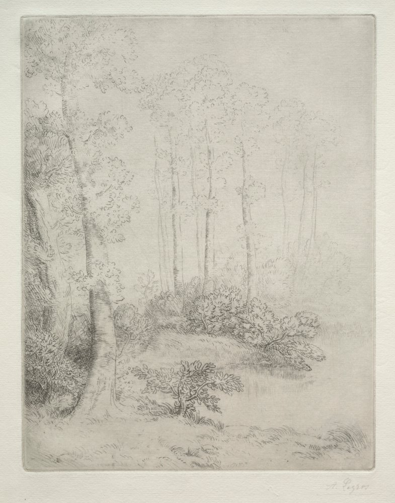 Edge of the Water by Alphonse Legros