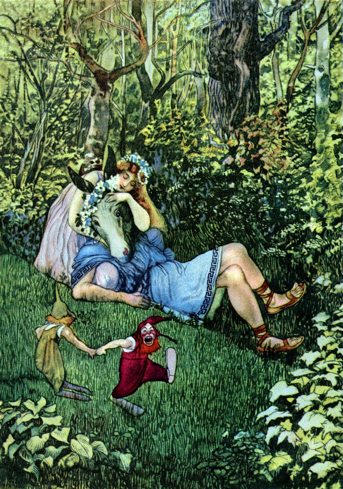 A Midsummer Night's Dream by Artus Scheiner