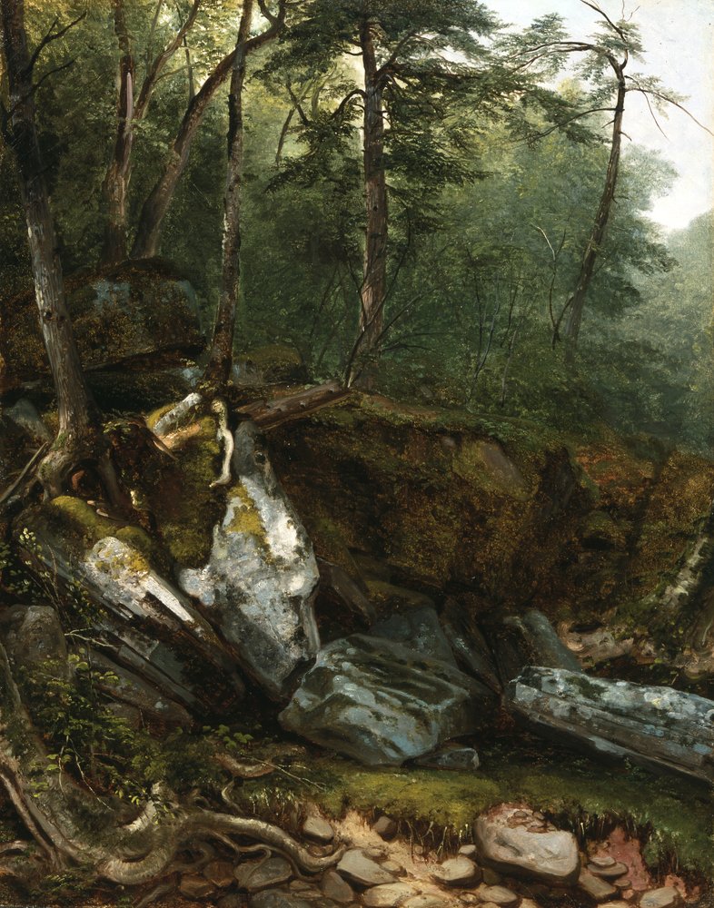 Study from Nature: Rocks and Trees in the Catskills, N.Y., 1856 by Asher Brown Durand