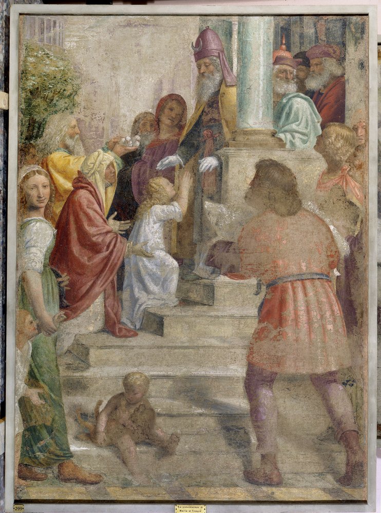 Presentation of Mary at the Temple by Bernardino Luini