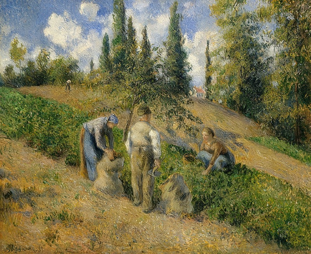 The Harvest, Pontoise by Camille Jacob Pissarro