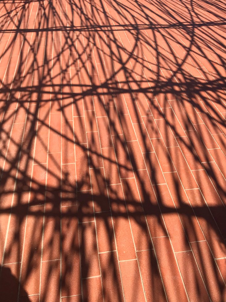 Composition - Shadows, 2021 by Cécile Jamet