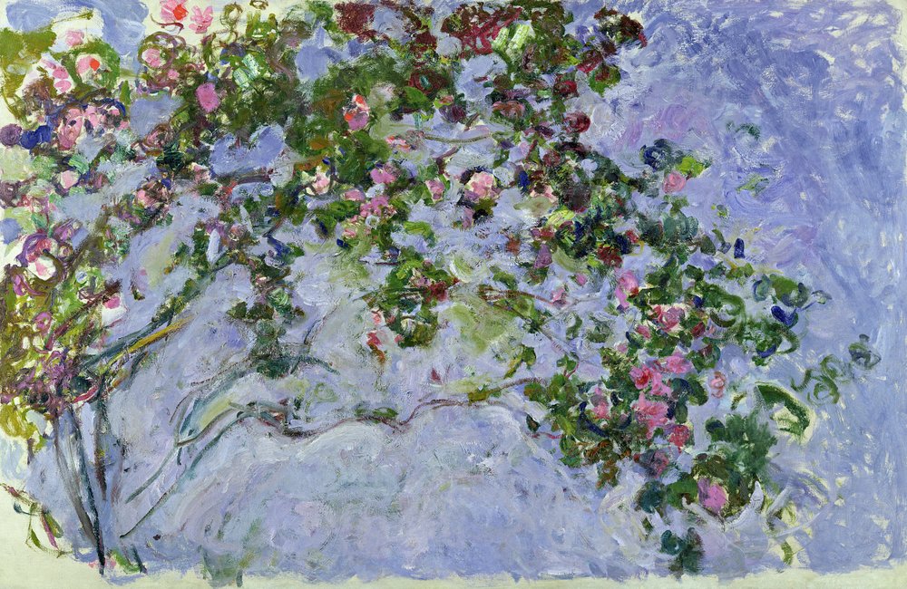 The Roses, 1925-26 by Claude Monet