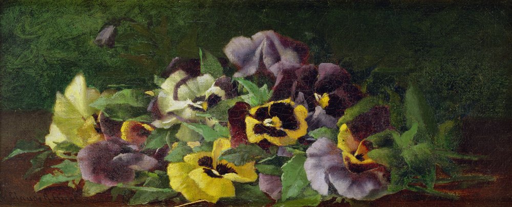 Pansies by Claude Raguet Hirst: Buy fine art print