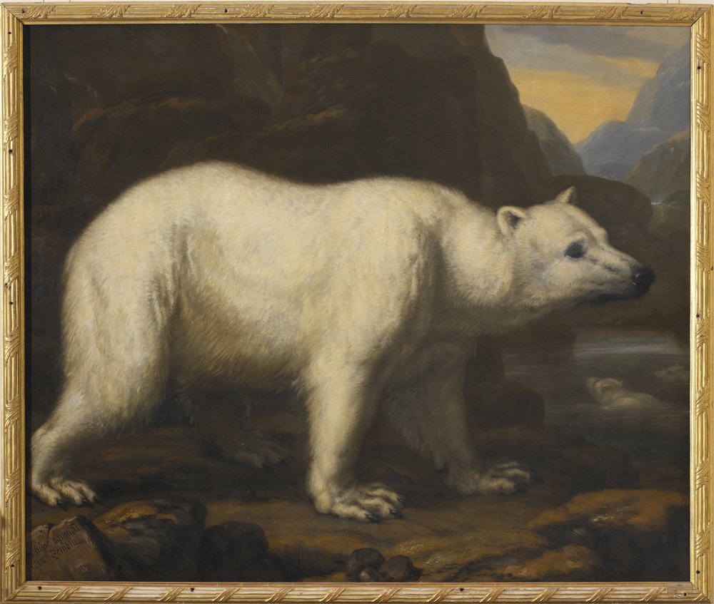 Polar Bears by David Klöcker Ehrenstrahl