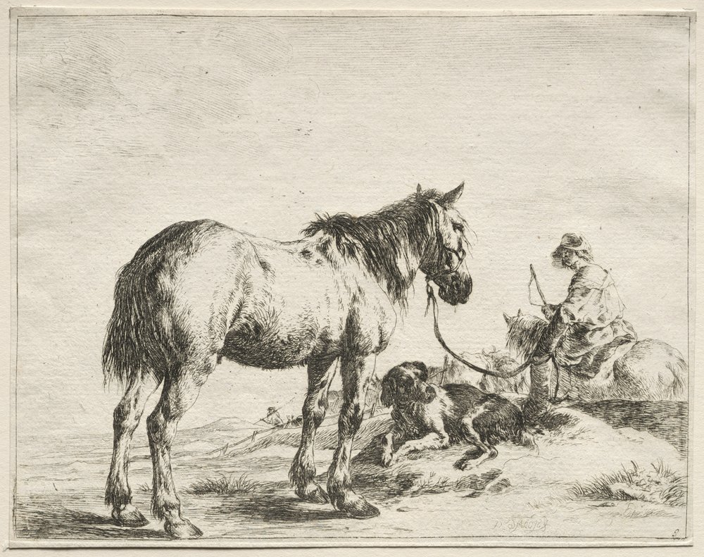 A Horse Fastened to a Stake by Dirck Stoop