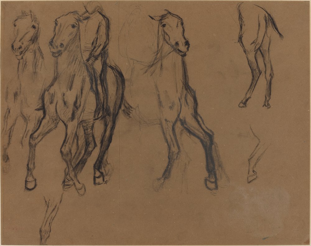 Study of Horses by Edgar Degas