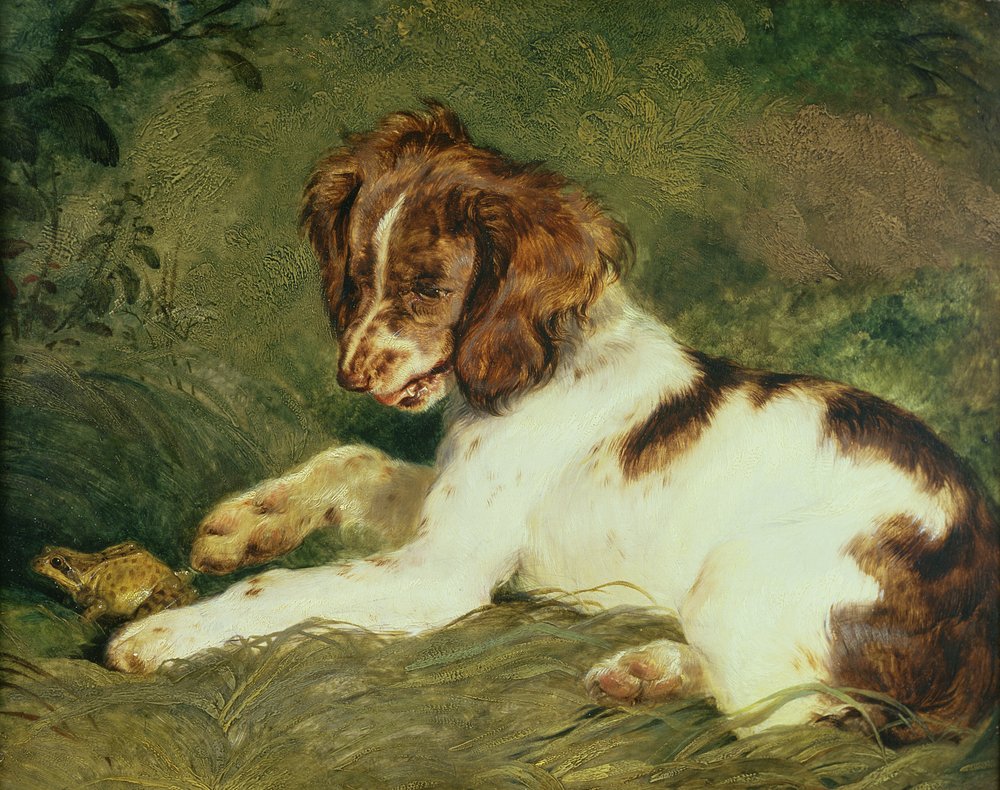 A Puppy teasing a Frog, 1824 by Edwin Landseer