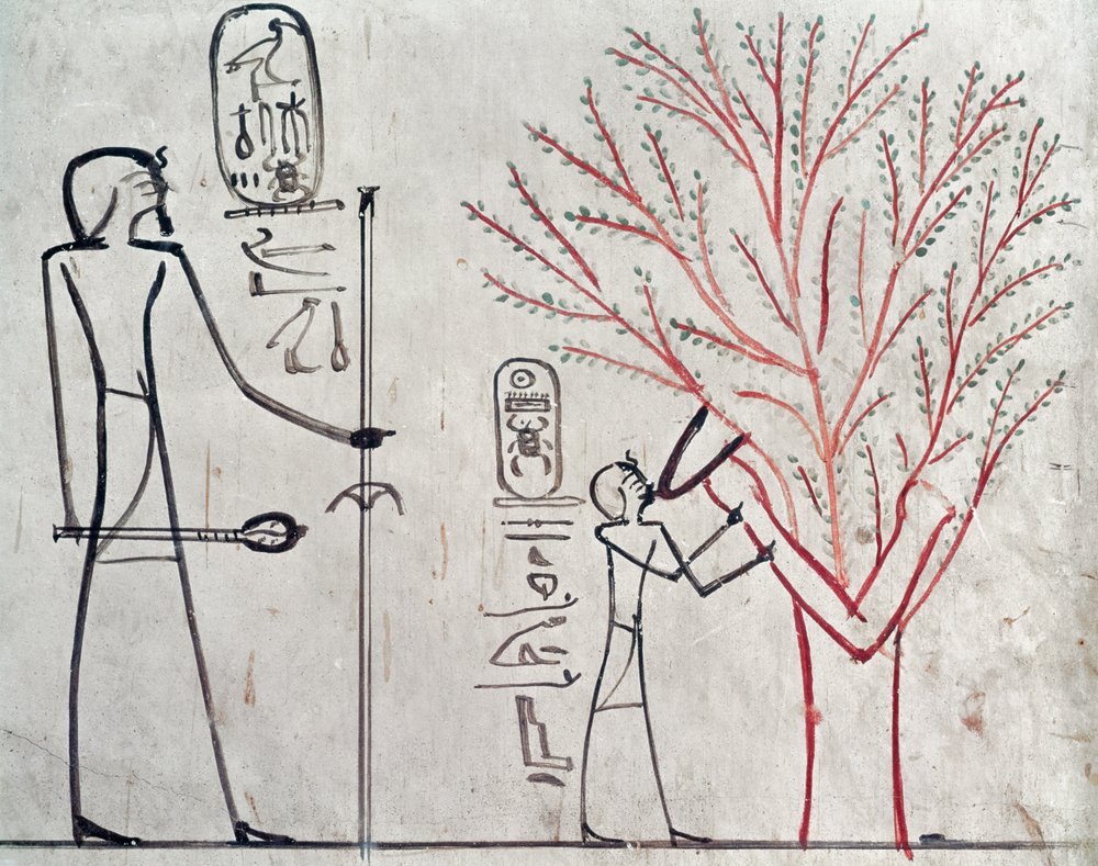 Isis Metamorphosed into a Sycamore Tree Suckling Tuthmosis III