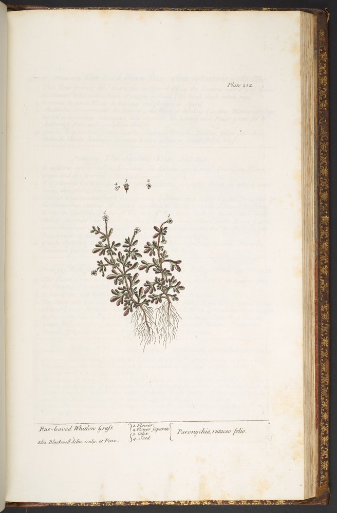 Plate 212, from 