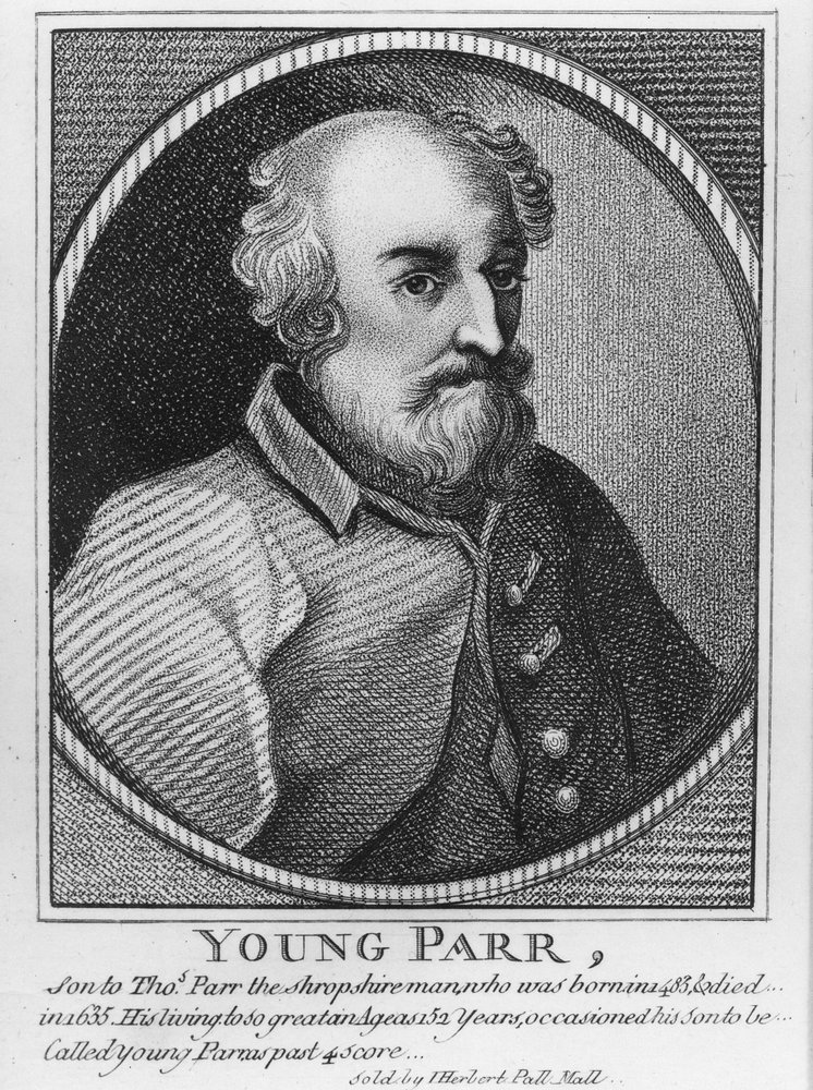 Young Parr by English School