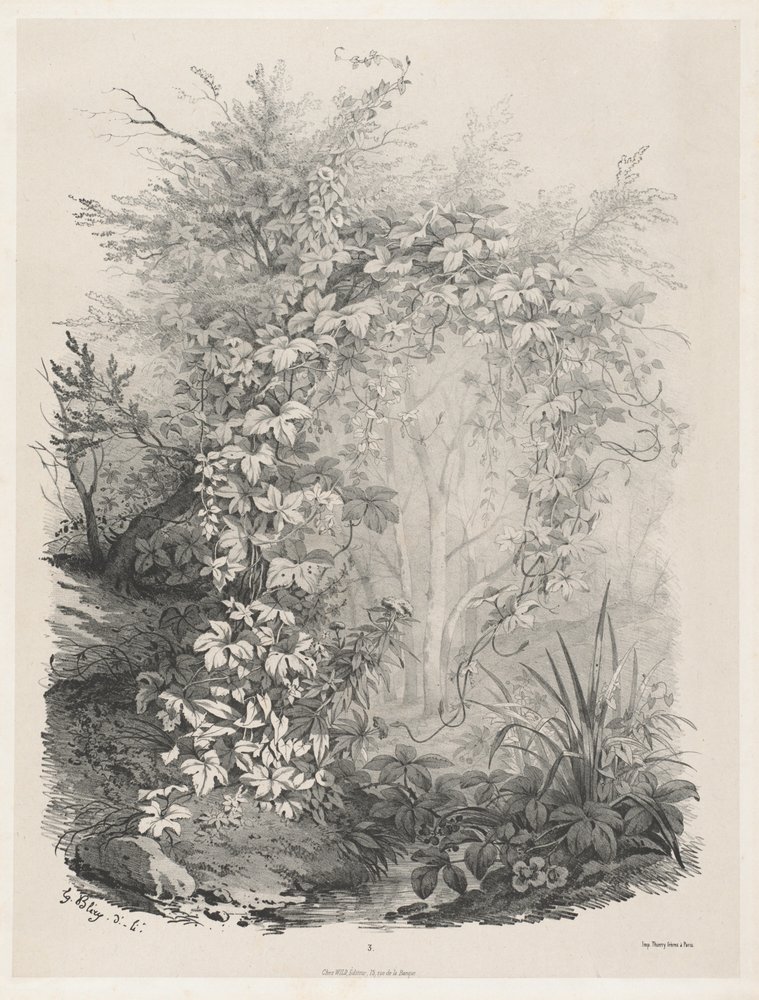 Plants and Ivies by a Stream by Eugene Bléry