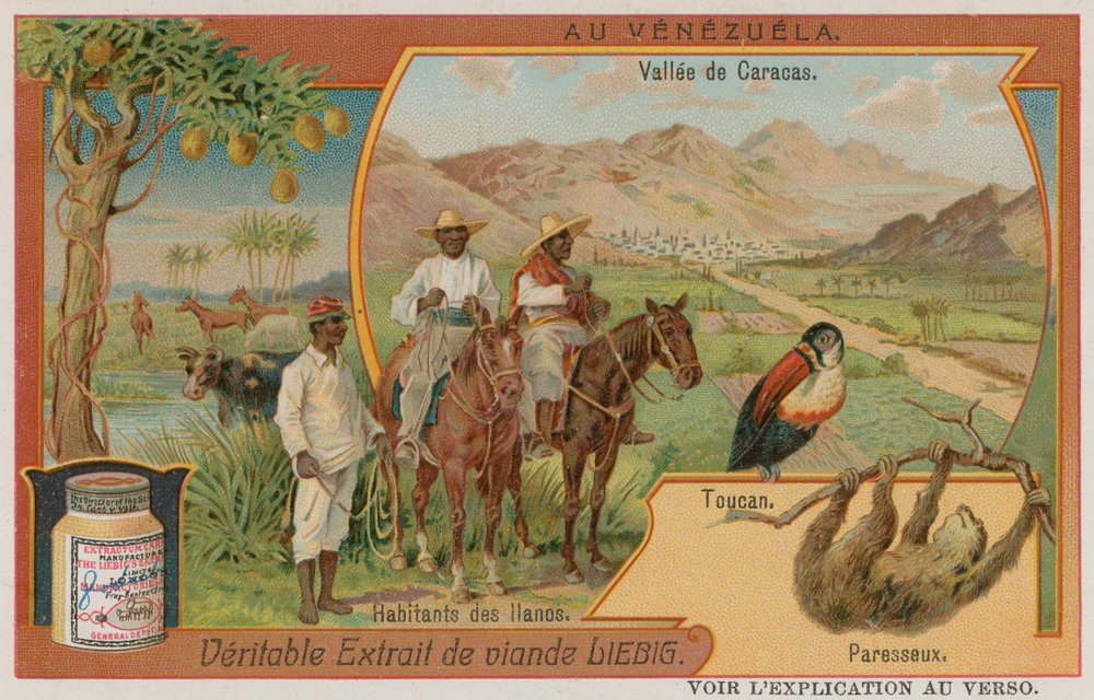 The Valley of Caracas with a Toucan and a Sloth and Tribesmen from the ...