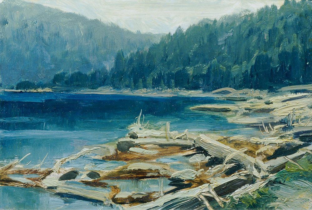 Bohemian Forest (from the Portfolio '16 Views of Czech Landscapes')