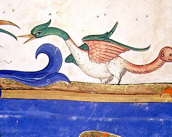 Missal 515, fol. 72v: Fantastical bird with monkey-faced tail, detail from a choir book executed before 1449 (detail of 56719) by Filippo di Matteo Torelli