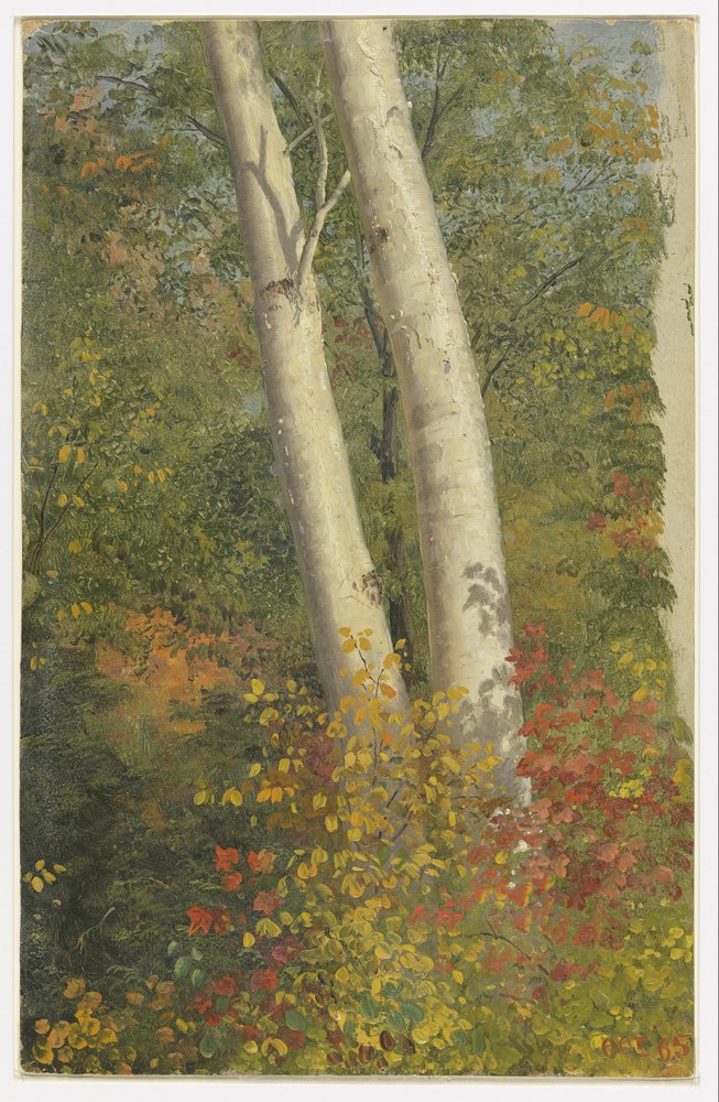 Birch Trees in Autumn by Frederic Edwin Church