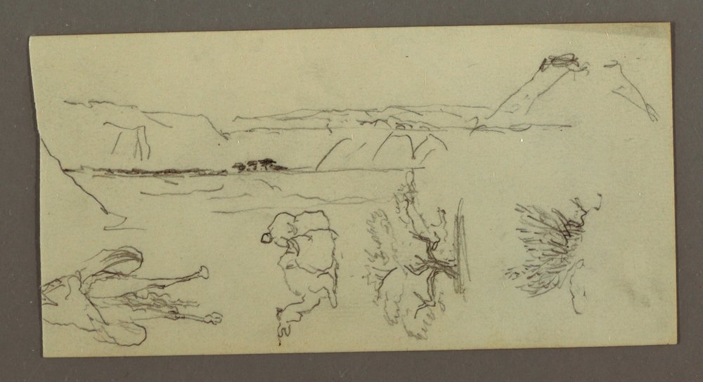 Camel Studies, Tree Bush, and Valley, Possibly 1868