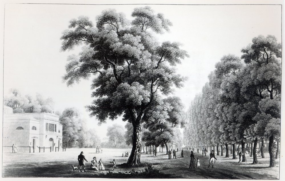 The Main Avenue in the Prater, Vienna, 1821 by French School