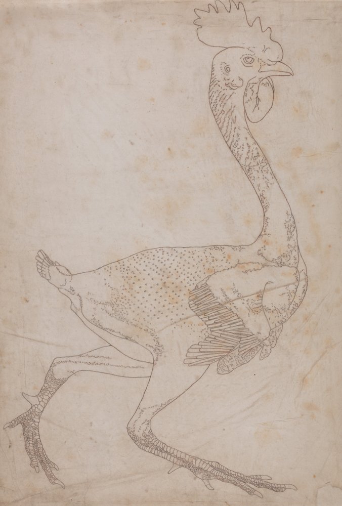A Comparative Anatomical Exposition of the Structure of the Human Body ...