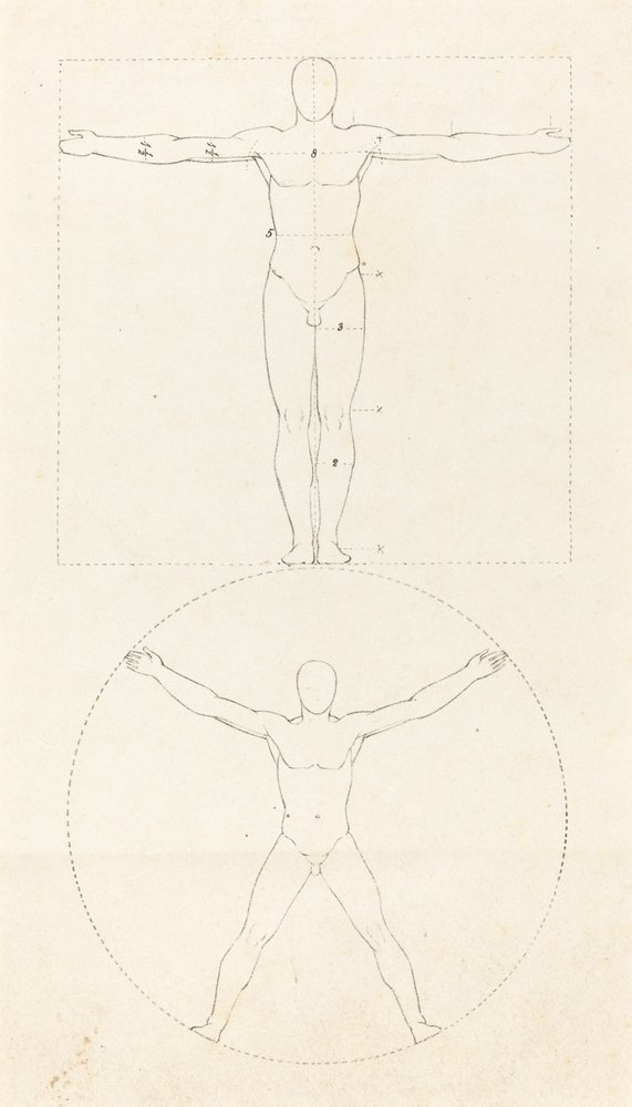 Circle and Square of the Human Figure