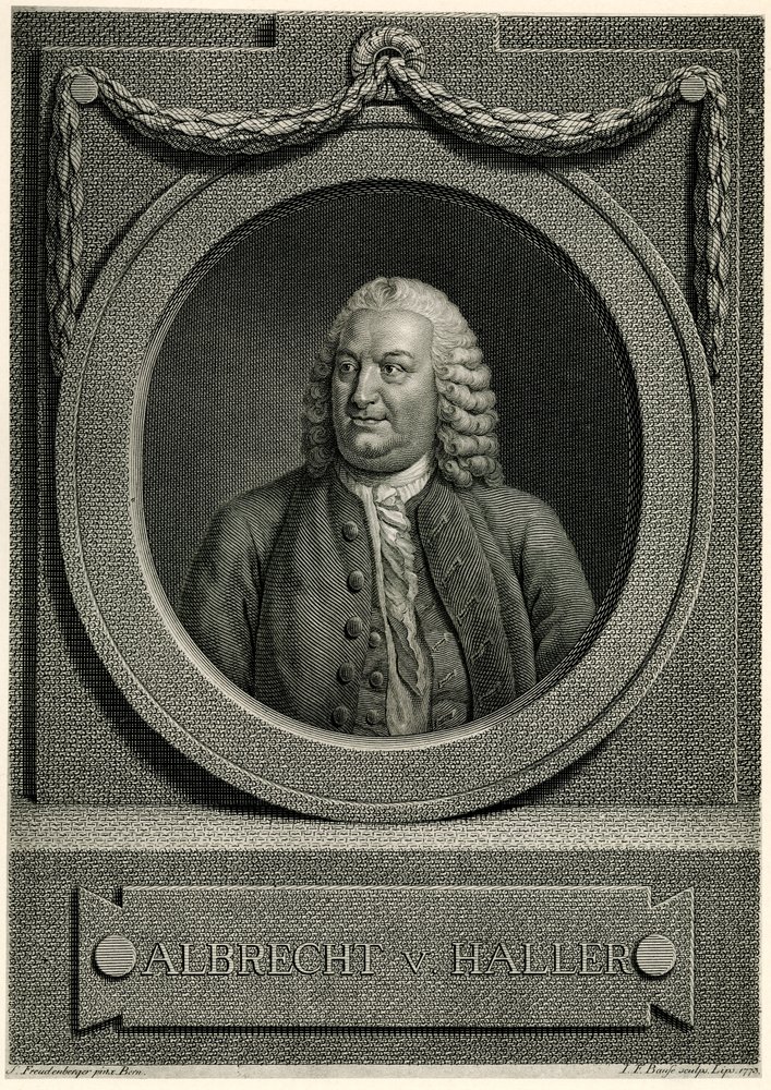 Albrecht von Haller by German School