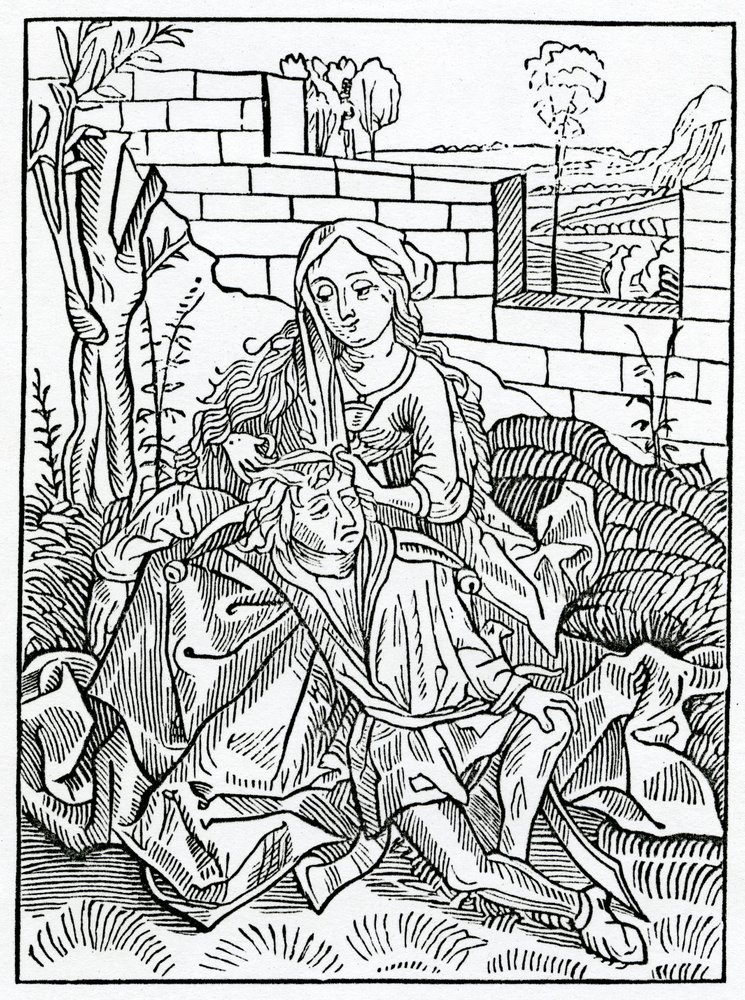 Of folys that can nat kepe secrete theyr owne counsell, illustration ...