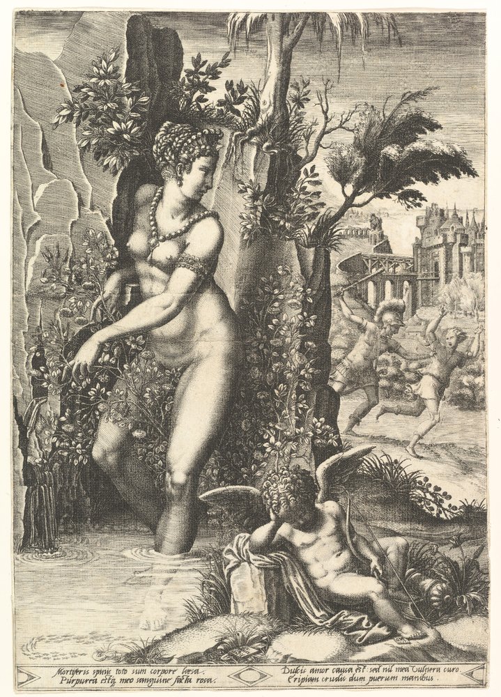 Venus Pricked by the Thorns on a Rose Bush, in the Background Mars Chasing Adonis by Giorgio Ghisi