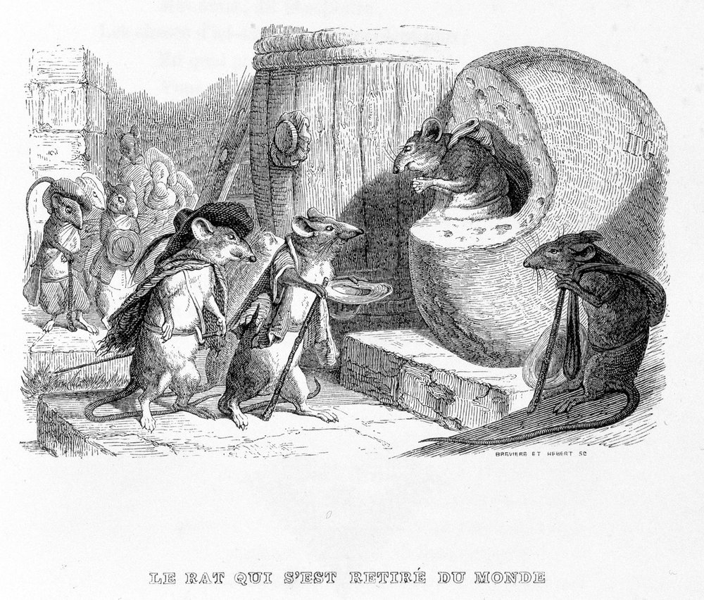 The Rat That Withdrew from the World - in 'Fables' de La Fontaine, ill ...
