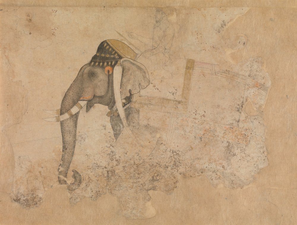 Elephant and Rider by Hashim.: Buy fine art print