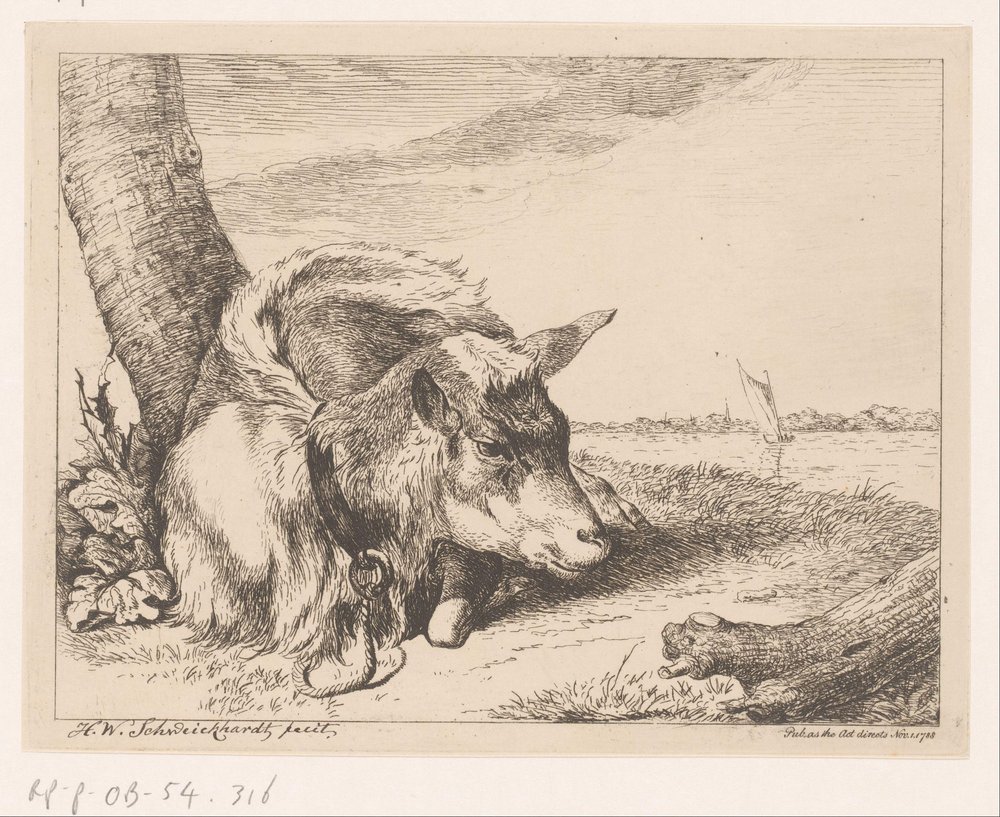 Lying Goat by Water (Various Animals) by Hendrik Willem Schweickhardt