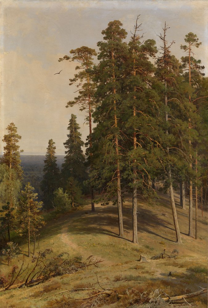 The Pine Forest, 1895 by Ivan Ivanovich Shishkin