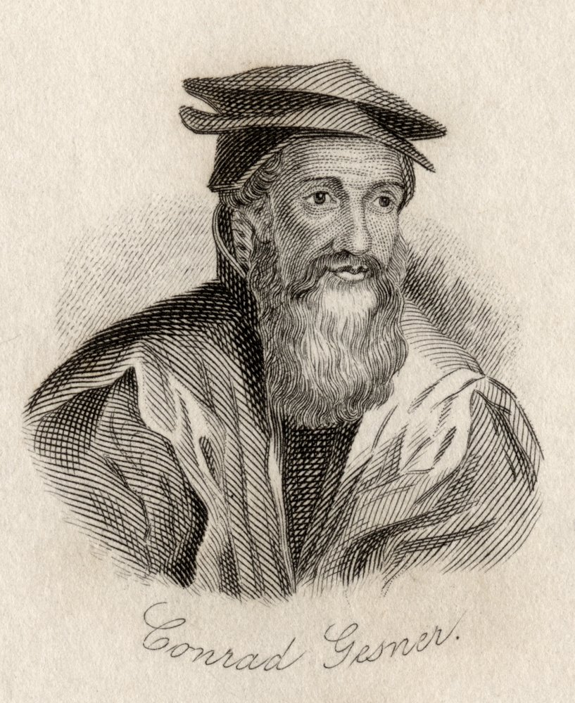 Conrad Gesner by J.W. Cook: Premium art reproduction
