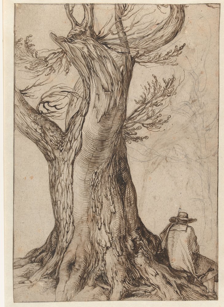 Study of a Tree Trunk by Jacob II de Gheyn: Fine art print