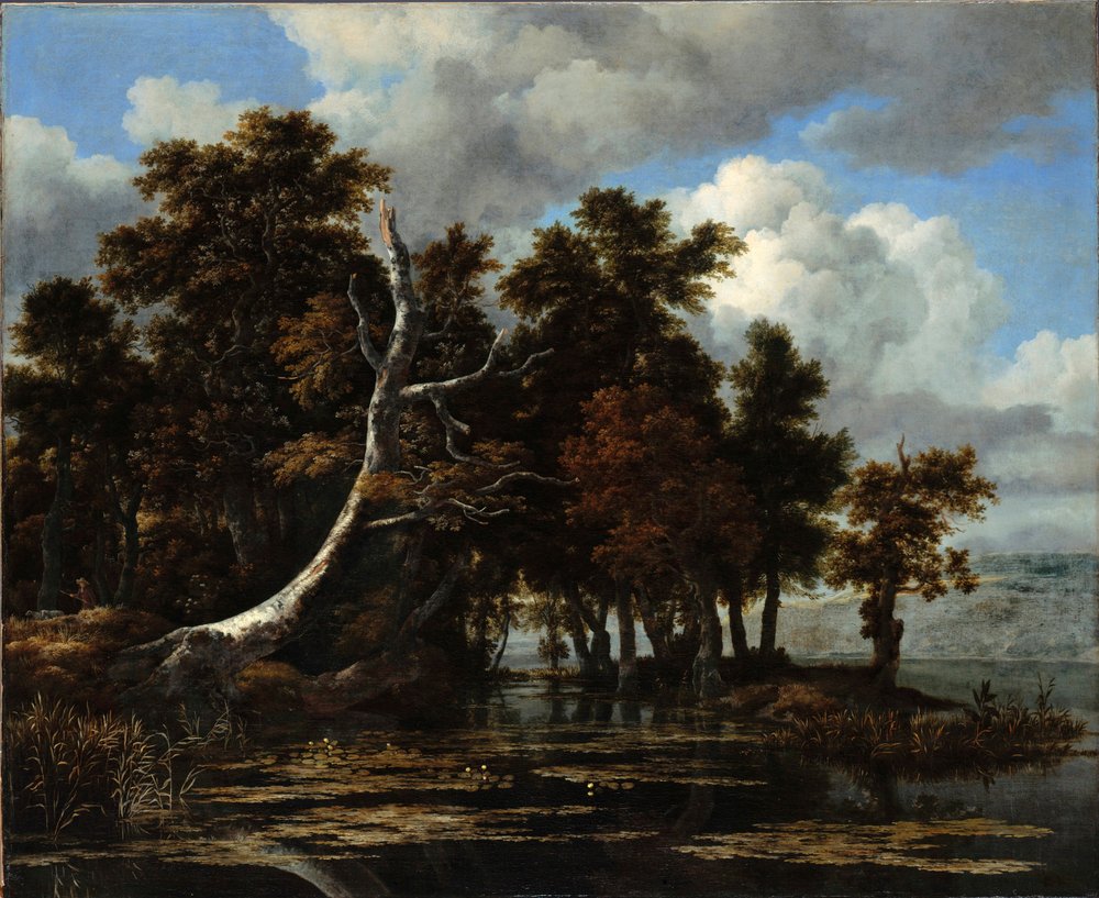 Oaks at a Lake with Water Lilies by Jacob van Ruisdael