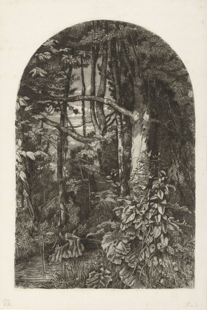 Forest with Stream by Jacobus Ludovicus Cornet