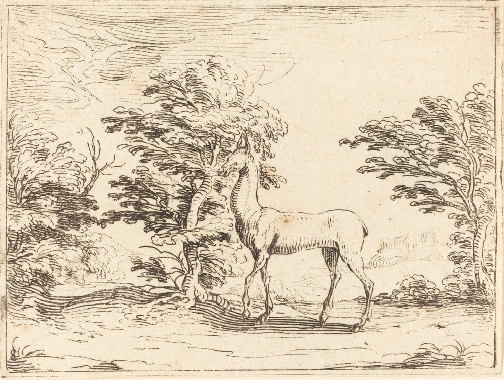 The Doe by Jacques Callot