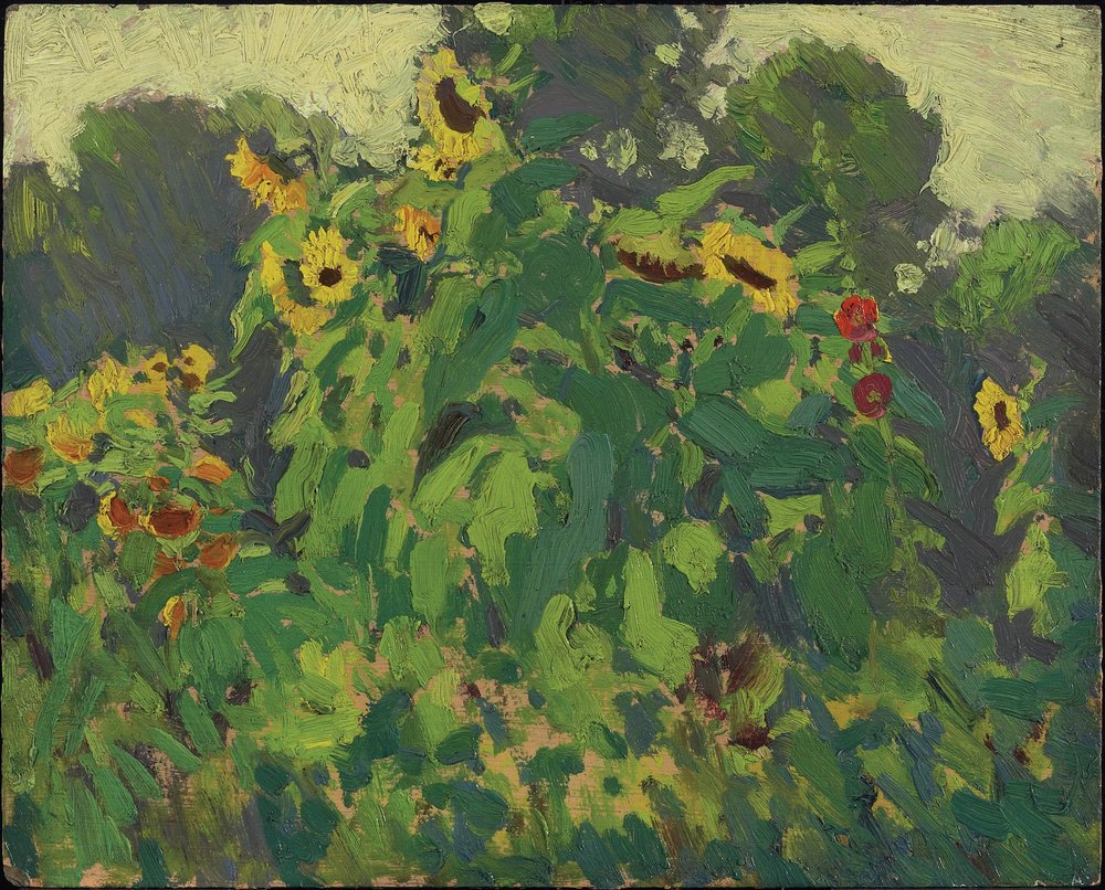 Sunflowers, Thornhill, 1916 by James Edward Hervey Macdonald