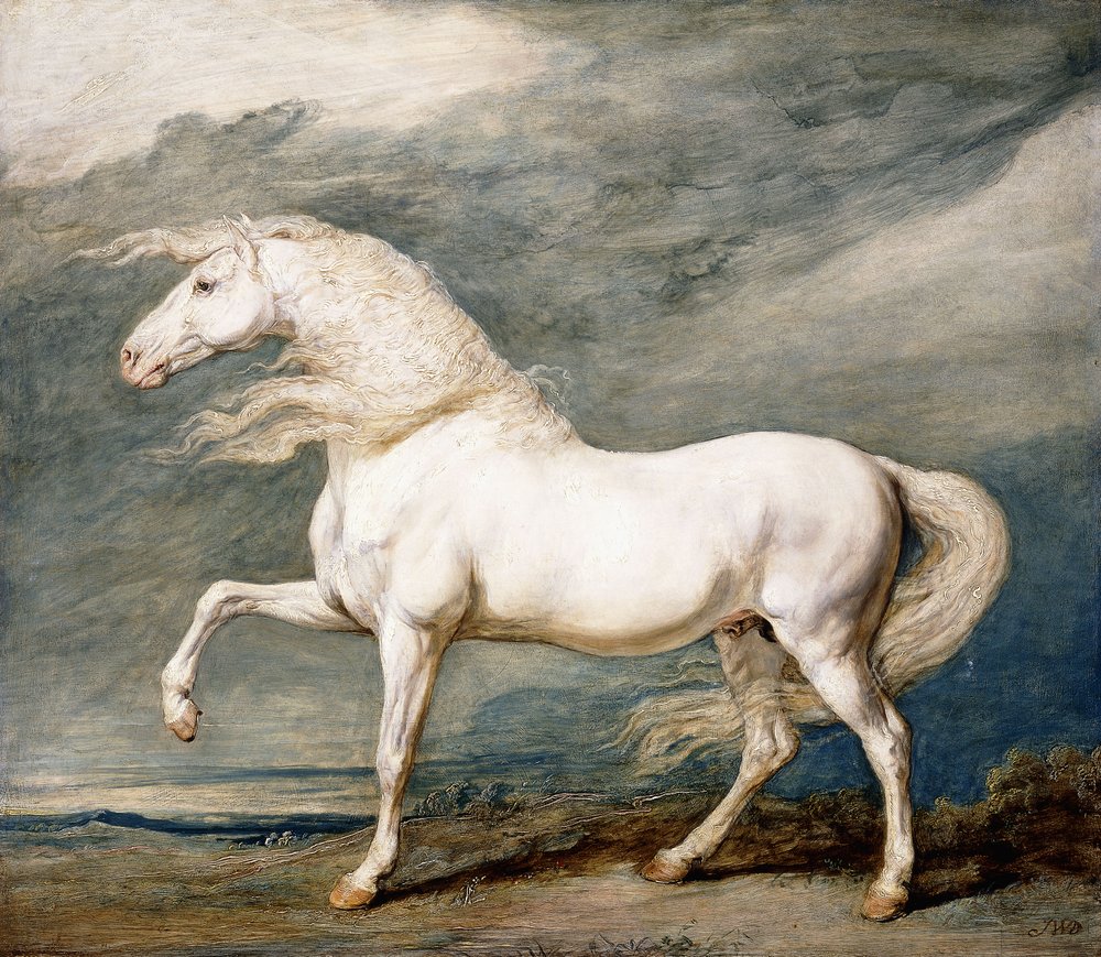 Adonis, King George III's Favourite Charger by James Ward
