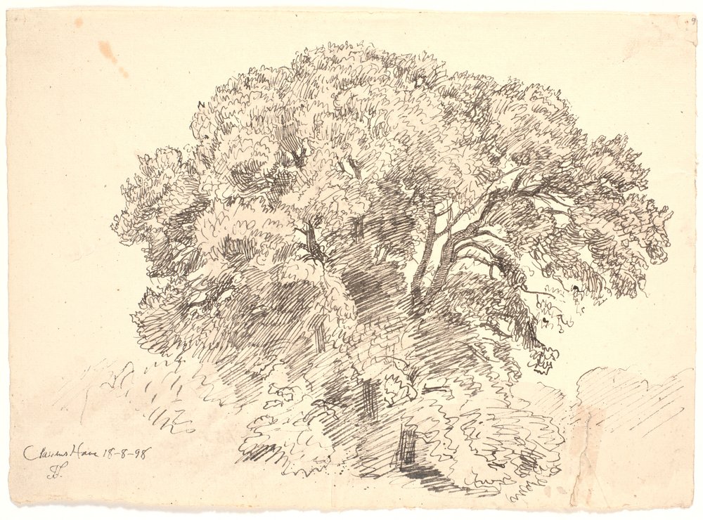Study of Trees. Classens Garden by Joakim Frederik Skovgaard